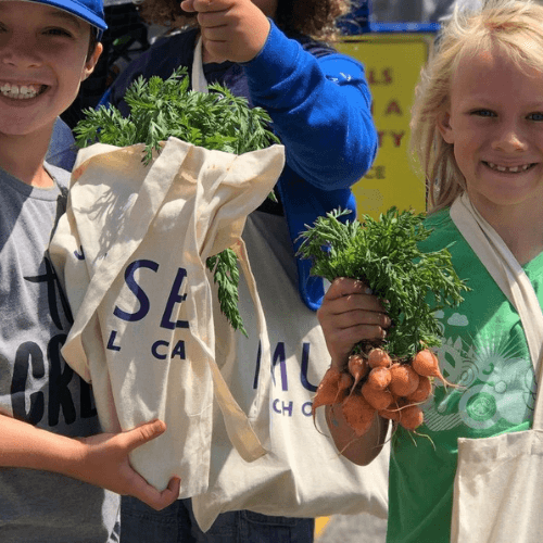 Blueprints - MUSE Global Schools - Empowering everyone to be a good writer..png